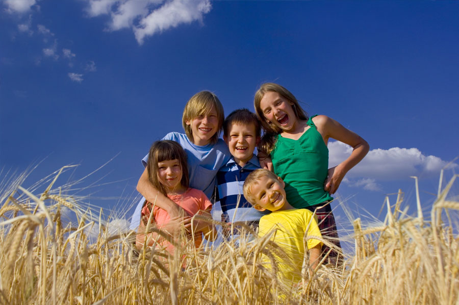 How to Keep Your Family Safe on the Farm This Summer
