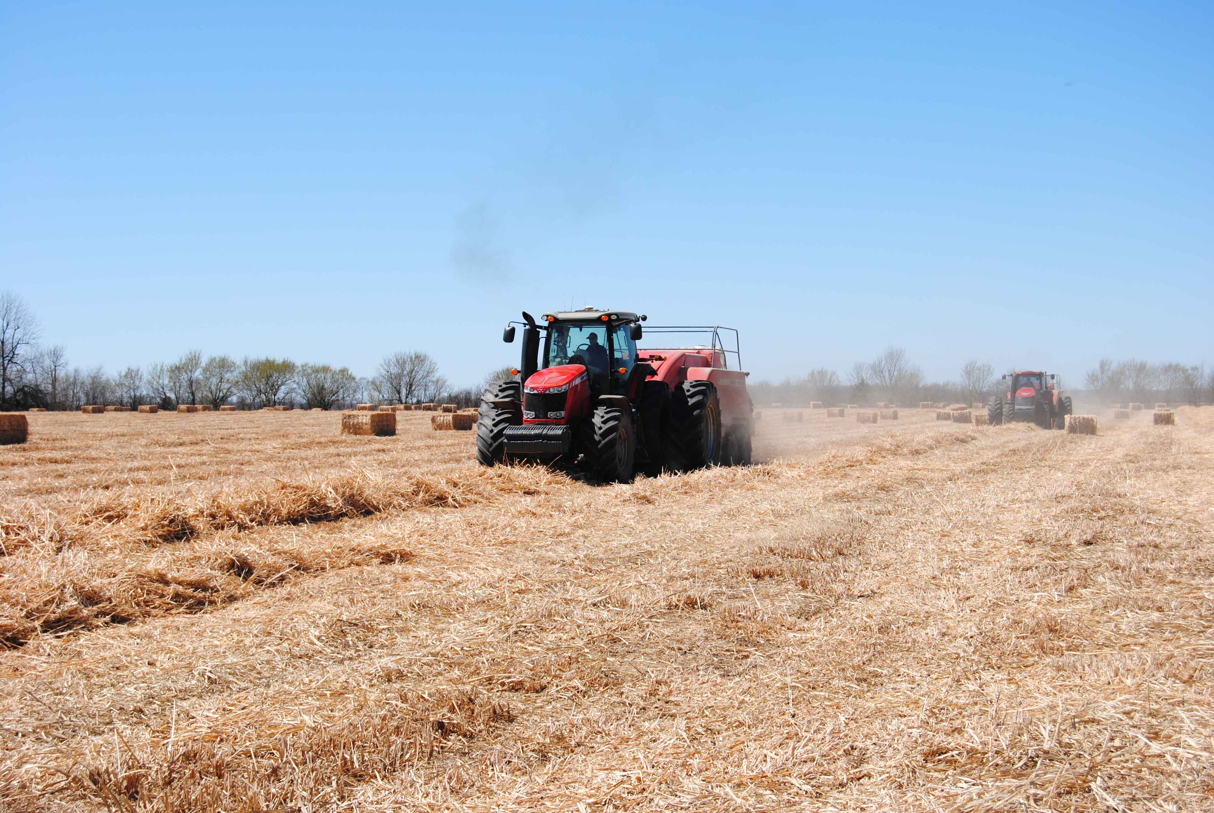 Miscanthus harvest offers financial benefits for Missouri farmers