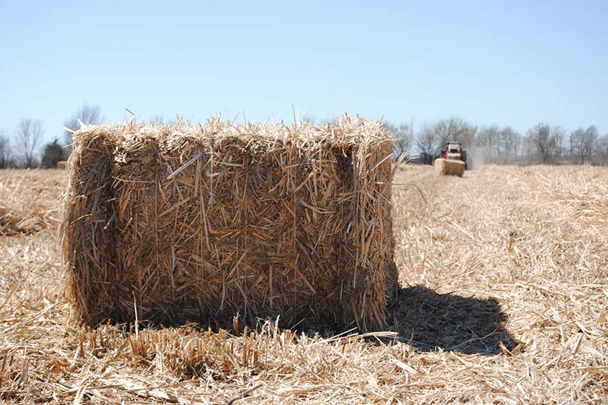 MFiber Bailed Miscanthus
