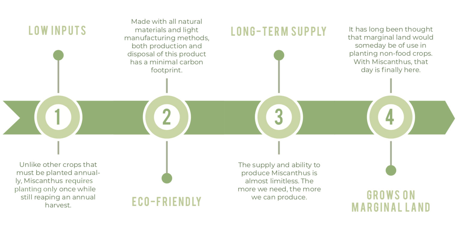 MFiber Benefits of Miscanthus Infographic
